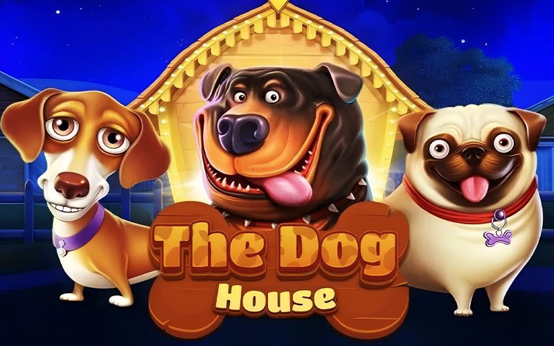 Play the Dog House slot at 1Win.
